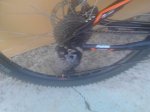 IMG-20161208-WA0011.jpg