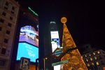DSC_5493.jpg