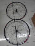 IMG_20161130_105318.jpg