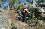 uploadfromtaptalk1481720105938.jpg