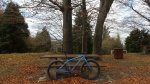 IMG-20161214-WA0011.jpg