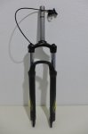 BTThorquilla - 1.jpg