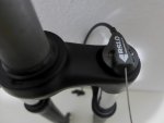 BTThorquilla - 5.jpg