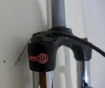 BTThorquilla - 6.jpg