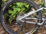 IMG-20161214-WA0005.jpg