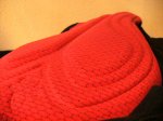 IMG_3139.JPG