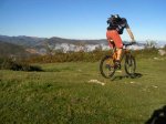 foro-bunny-HPIM6705.jpg