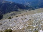 Comabona (17).JPG