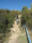 m_IMG_1363.JPG