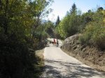 m_IMG_1376.JPG