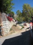 m_IMG_1403.JPG