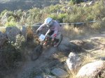 m_IMG_1574.JPG