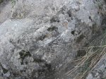 m_IMG_1578.JPG
