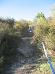 m_IMG_1581.JPG