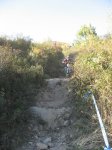 m_IMG_1597.JPG