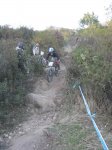 m_IMG_1639.JPG