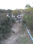 m_IMG_1642.JPG