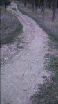 IMG-20161217-WA0002.jpeg