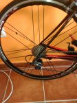 IMG_20161219_161807.jpg