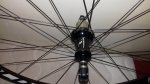 20161220_215315.jpg