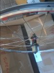 20161221_100426.jpg
