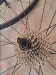 20161224_114446_HDR.jpg