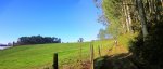 Panorama 2.JPG
