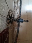 IMG_20161228_133728.jpg