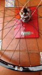 IMG_20161211_141909.jpg