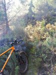 IMG_20161230_194955.jpg