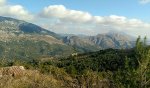 IMG_20161230_200633.jpg