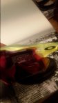20170102_180335.jpg