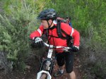 IMG_6537 (Copiar).JPG