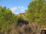 IMG_6538 (Copiar).JPG
