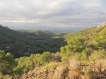 IMG_6542 (Copiar).JPG