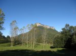 IMG_4487.JPG