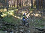 IMG_2295_redimensionar.jpg