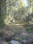 Torote07 016.jpg