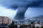 PALMAtotalTORNADO.jpg