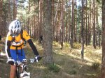IMG_2297_redimensionar.jpg