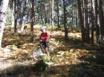IMG_2310_redimensionar.jpg