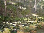 IMG_2315_redimensionar.jpg