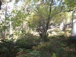IMG_2325_redimensionar.jpg