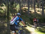 IMG_2339_redimensionar.jpg