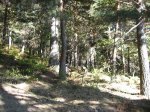 IMG_2347_redimensionar.jpg