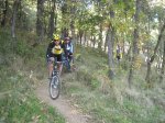 IMG_2350_redimensionar.jpg