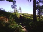 PIC_0014.JPG