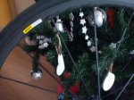 IMG_20170105_114936.jpg