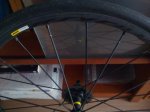 IMG_20170105_114954.jpg