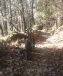2017-01-06 18.36.26.jpg